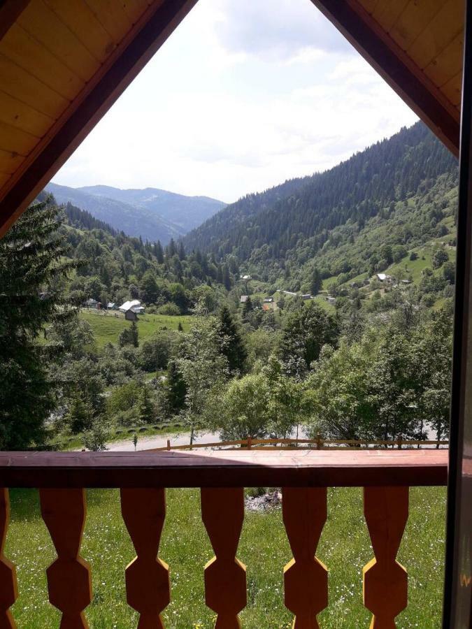 Садиба "Ековид" Krivorovnya Εξωτερικό φωτογραφία